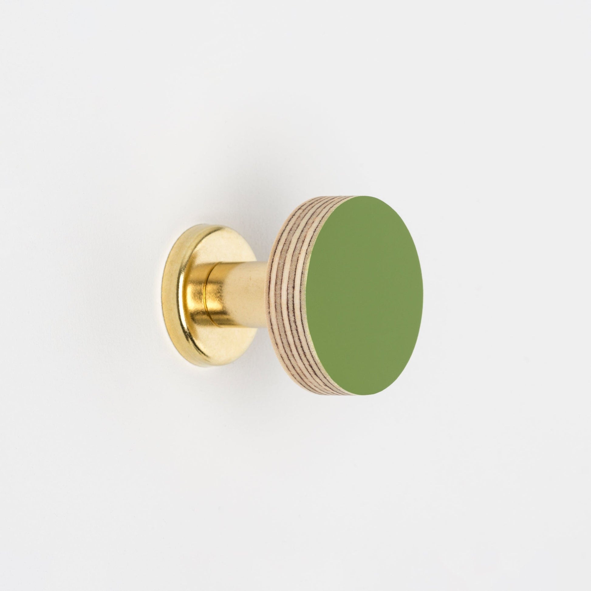 Cabinet Knob Birch & Brass Knob in Fern Green homeware shops bristol gift shops bristol Priormade