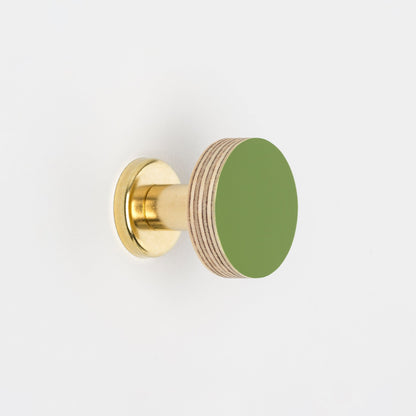 Cabinet Knob Birch & Brass Knob in Fern Green homeware shops bristol gift shops bristol Priormade