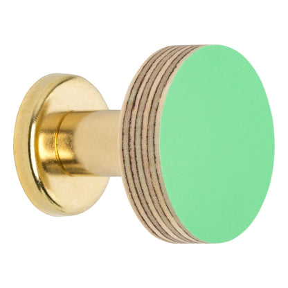 Cabinet Knob Birch & Brass Knob in Mint Green homeware shops bristol gift shops bristol Priormade