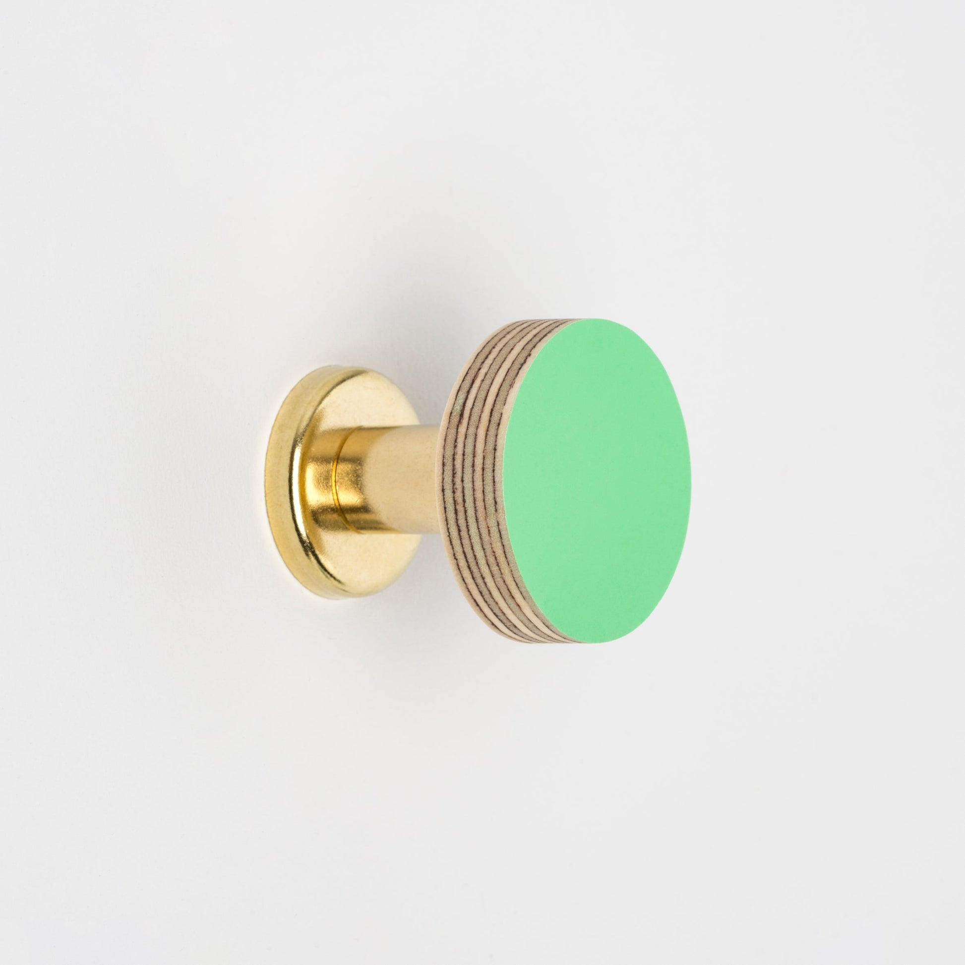 Cabinet Knob Birch & Brass Knob in Mint Green homeware shops bristol gift shops bristol Priormade