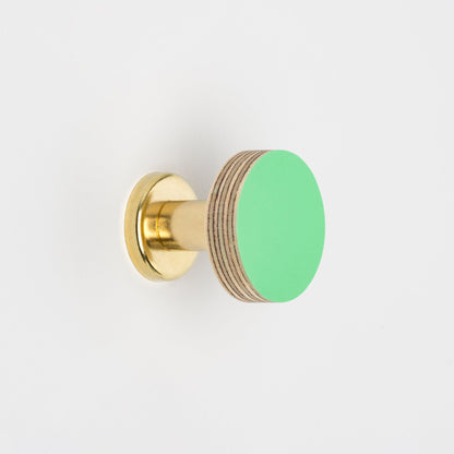 Cabinet Knob Birch & Brass Knob in Mint Green homeware shops bristol gift shops bristol Priormade
