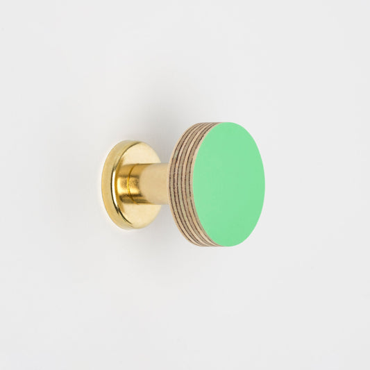 Cabinet Knob Birch & Brass Knob in Mint Green homeware shops bristol gift shops bristol Priormade