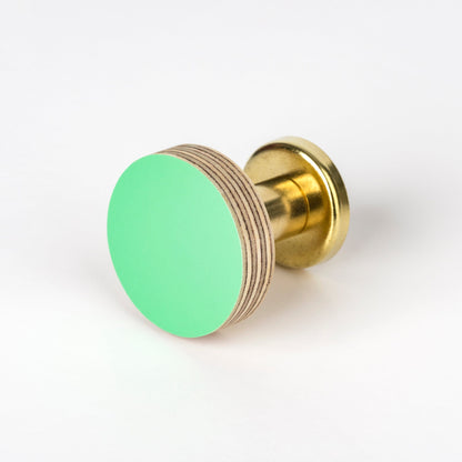 Cabinet Knob Birch & Brass Knob in Mint Green homeware shops bristol gift shops bristol Priormade