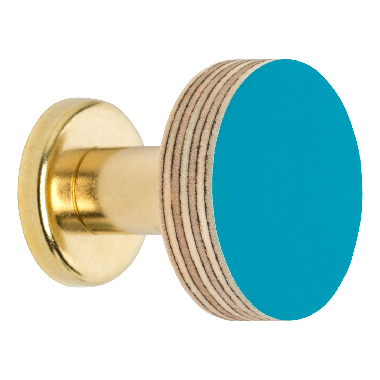 Cabinet Knob Birch & Brass Knob in Peacock Blue homeware shops bristol gift shops bristol Priormade