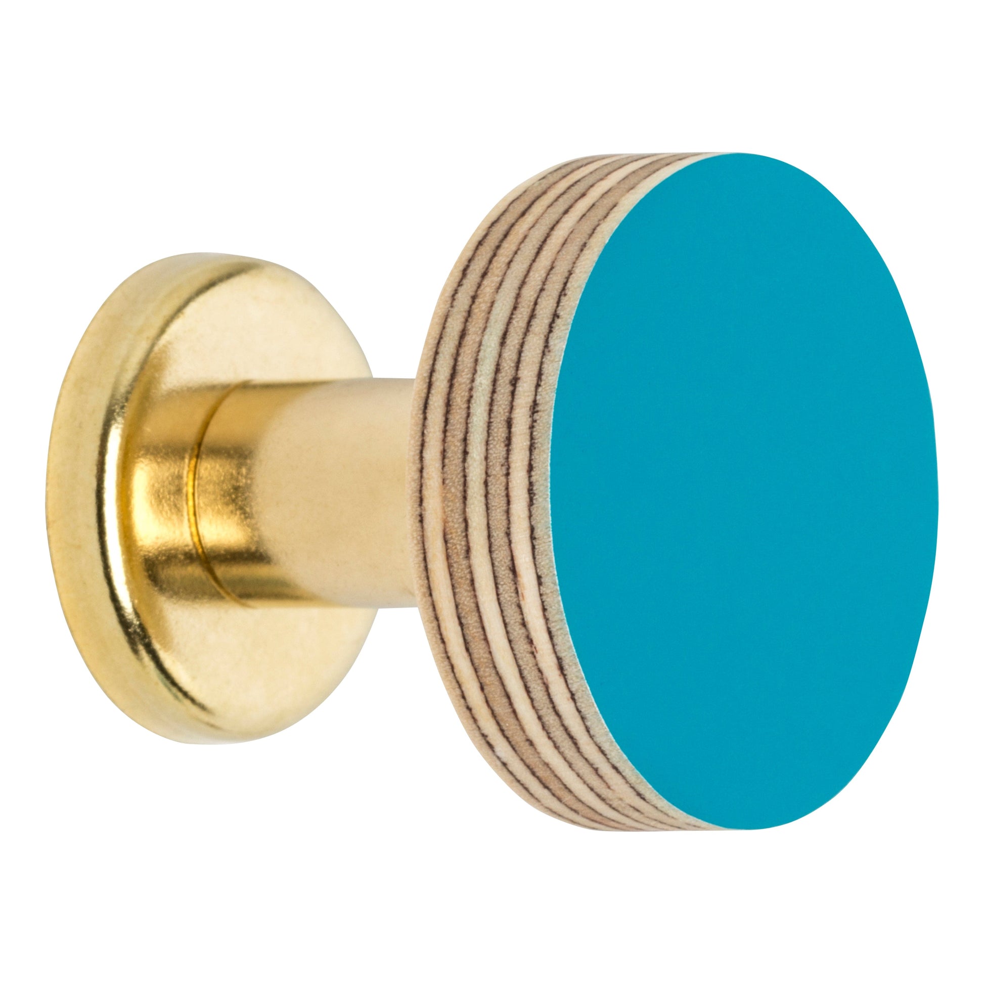 Cabinet Knob Birch & Brass Knob in Peacock Blue homeware shops bristol gift shops bristol Priormade