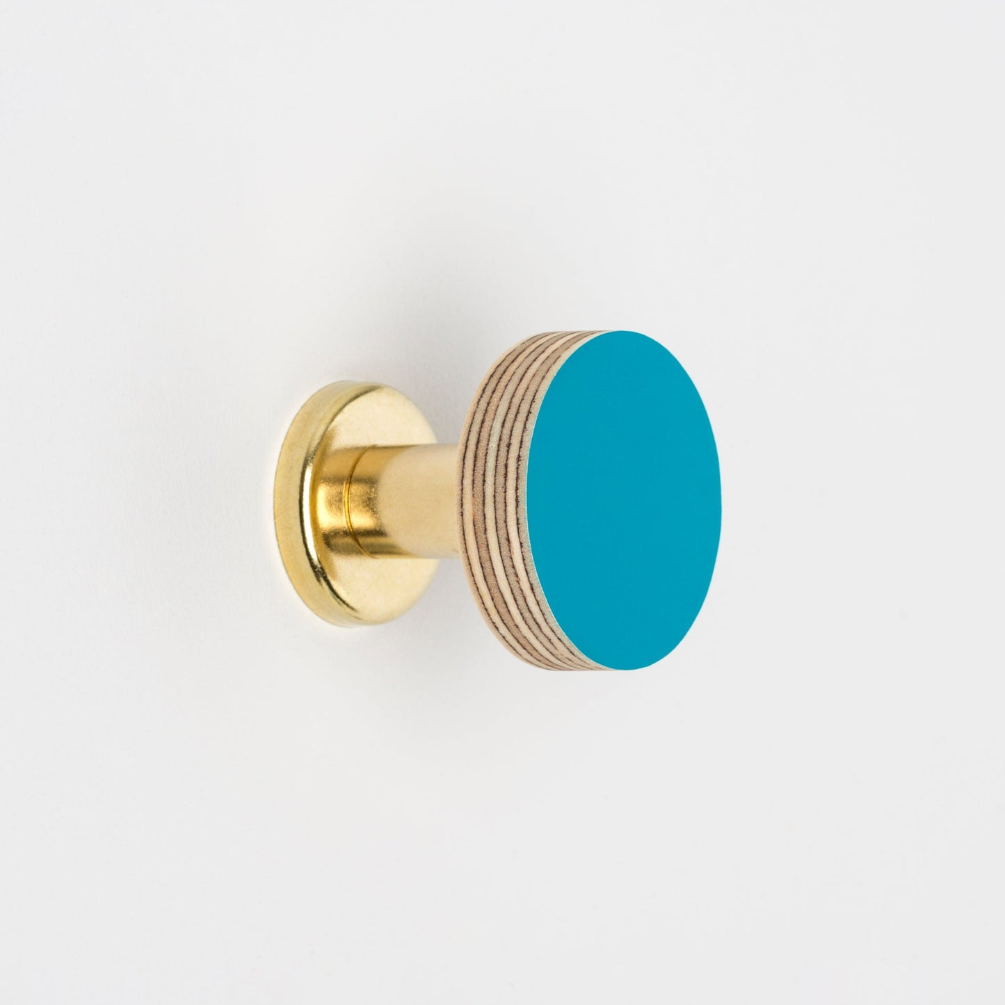 Cabinet Knob Birch & Brass Knob in Peacock Blue homeware shops bristol gift shops bristol Priormade