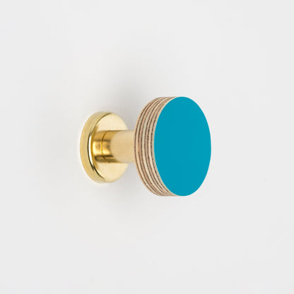 Cabinet Knob Birch & Brass Knob in Peacock Blue homeware shops bristol gift shops bristol Priormade
