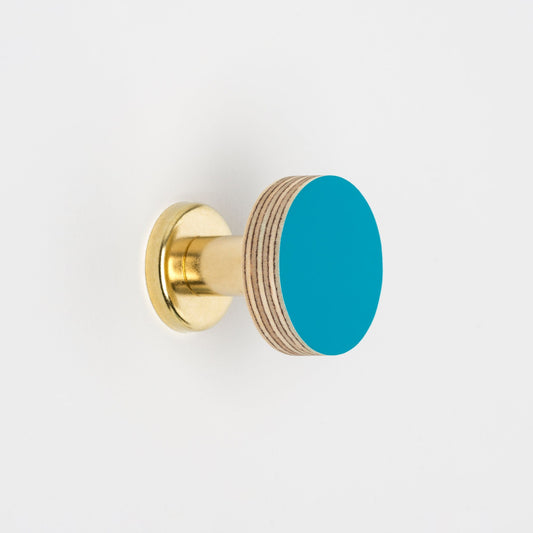 Cabinet Knob Birch & Brass Knob in Peacock Blue homeware shops bristol gift shops bristol Priormade