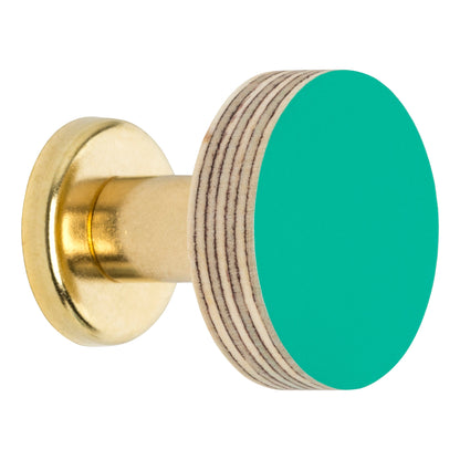 Cabinet Knob Birch & Brass Knob in Turquoise homeware shops bristol gift shops bristol Priormade