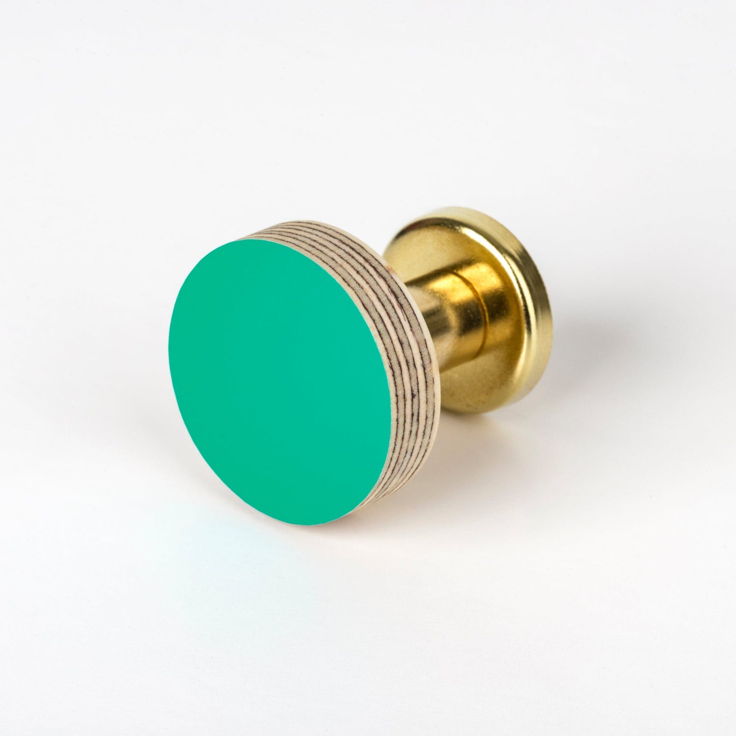 Cabinet Knob Birch & Brass Knob in Turquoise homeware shops bristol gift shops bristol Priormade