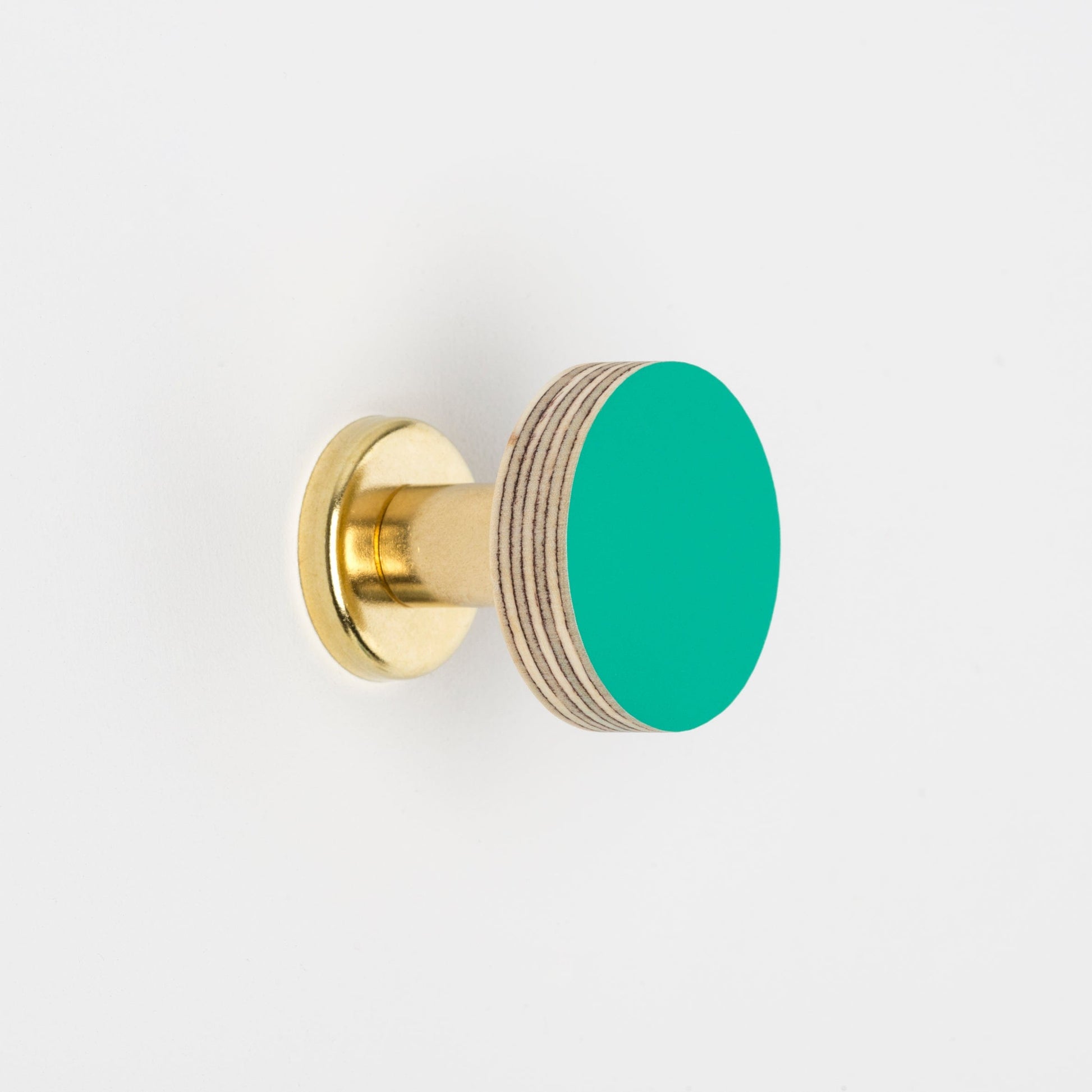 Cabinet Knob Birch & Brass Knob in Turquoise homeware shops bristol gift shops bristol Priormade