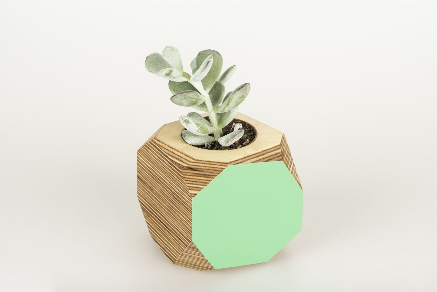 Geo Vessel Geo Vessel - Mint Green homeware shops bristol gift shops bristol Priormade