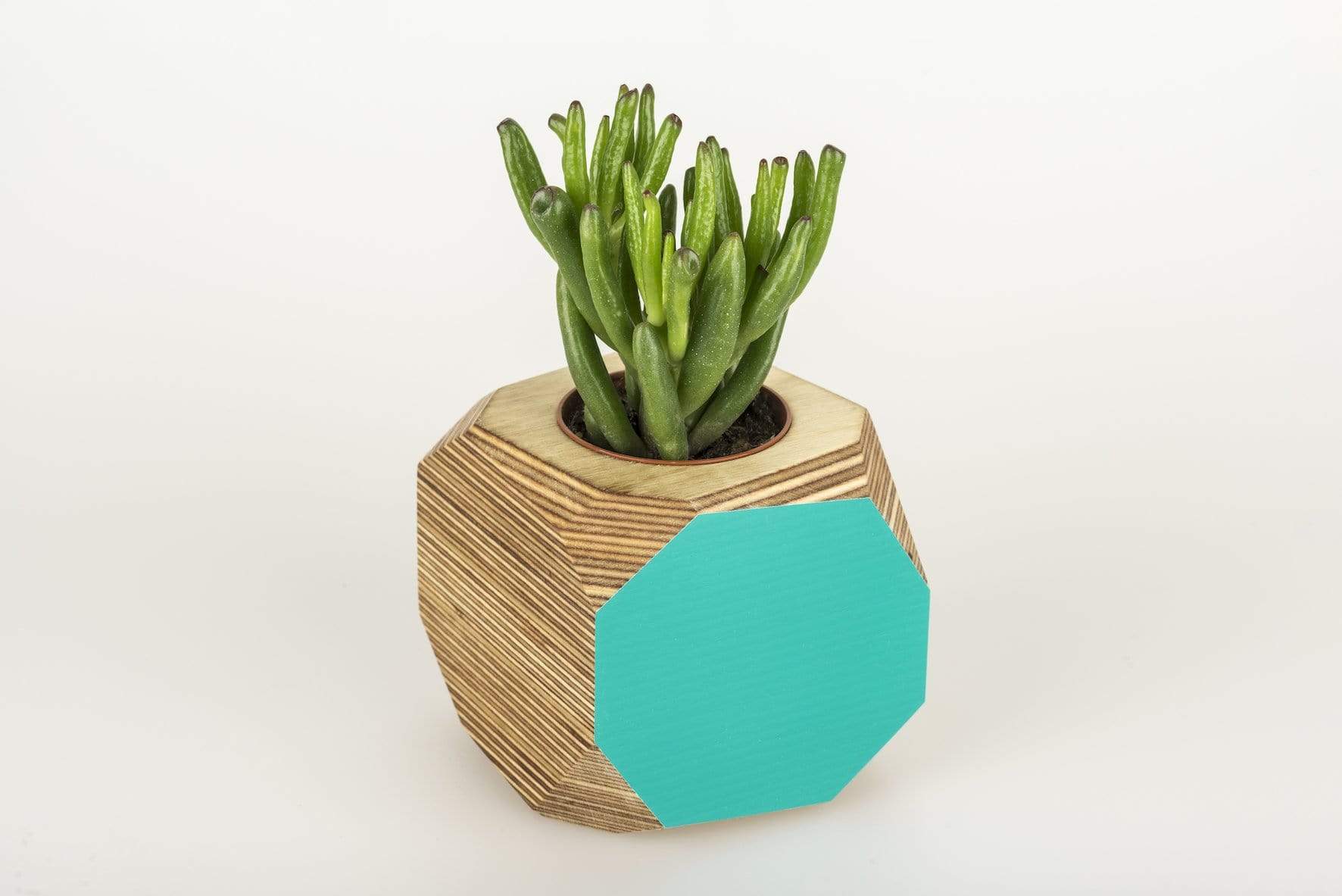 Geo Vessel Geo Vessel - Turquoise homeware shops bristol gift shops bristol Priormade