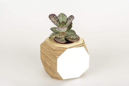 Geo Vessel Geo Vessel - White homeware shops bristol gift shops bristol Priormade