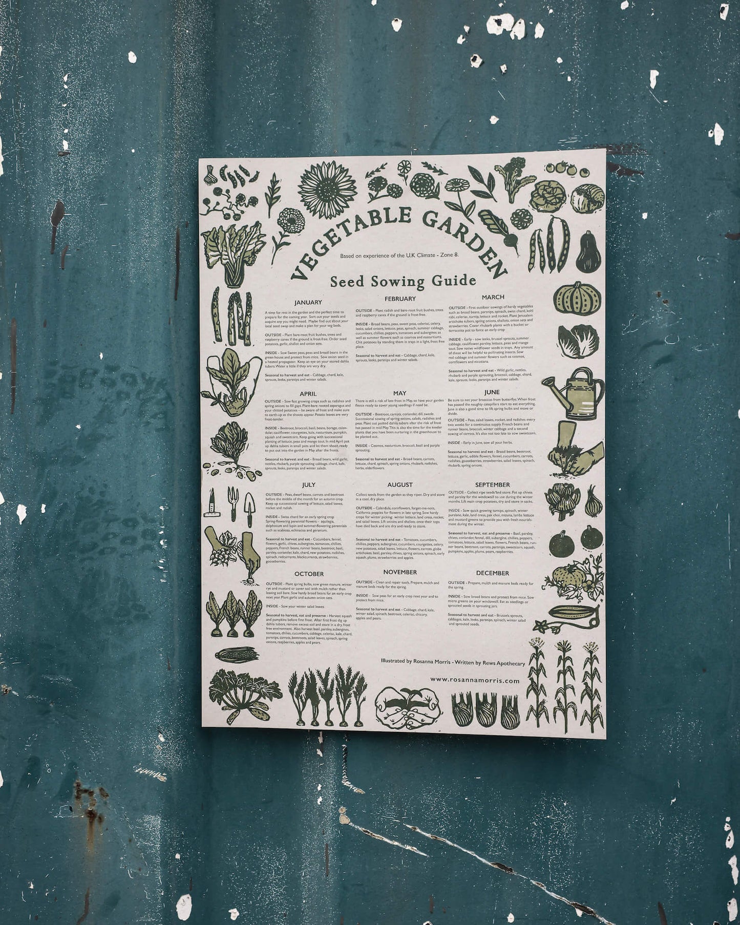 Rosanna Morris Prints Vegetables Seed Sowing Guide - Vegetables and Flowers (A2 Poster)