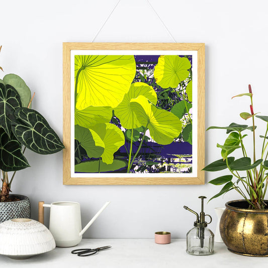 Rosie Reiter Print Sunlight Through Lotus Print