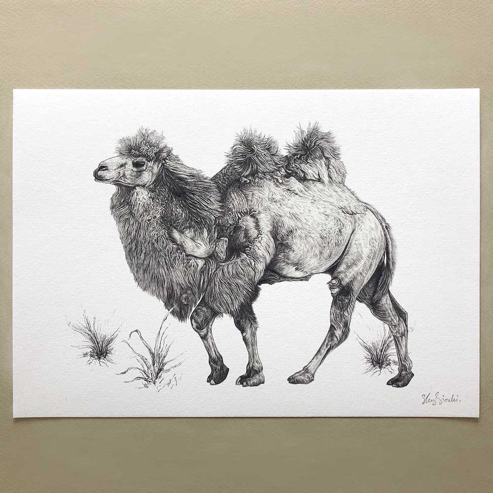 Prints Giclée Print 'Bactrian Camel' A4 homeware shops bristol gift shops bristol Sky Siouki