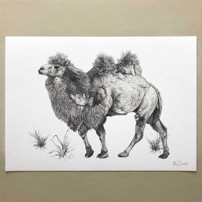 Prints Giclée Print 'Bactrian Camel' A4 homeware shops bristol gift shops bristol Sky Siouki