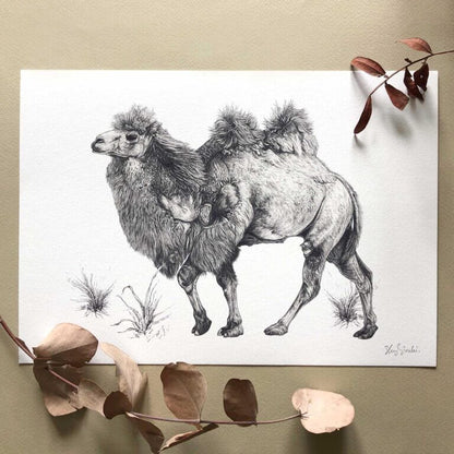 Prints Giclée Print 'Bactrian Camel' A4 homeware shops bristol gift shops bristol Sky Siouki