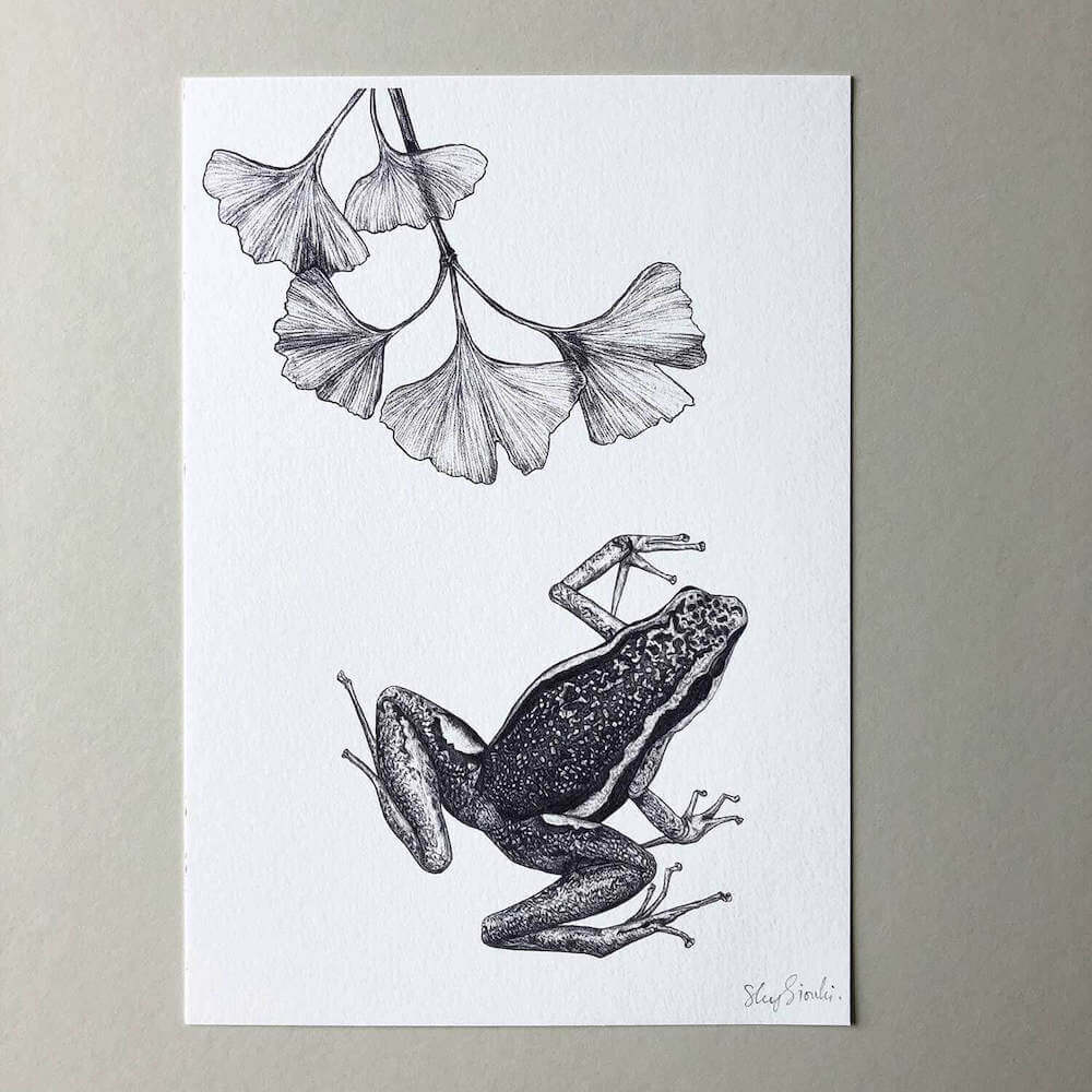 Prints Giclée Print 'Poison Dart Frog' - A5 homeware shops bristol gift shops bristol Sky Siouki
