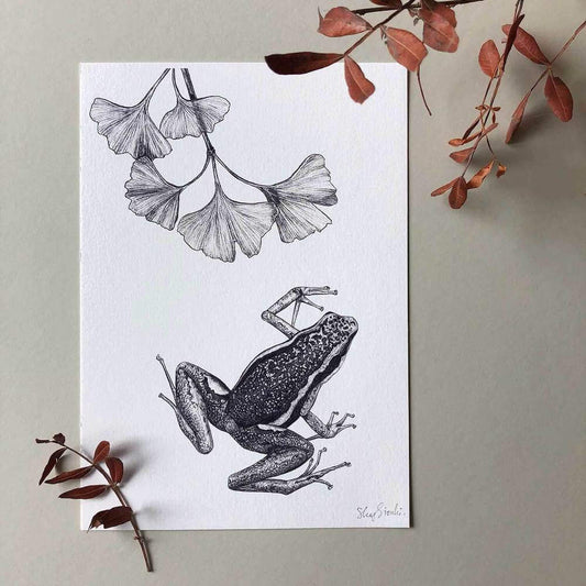 Prints Giclée Print 'Poison Dart Frog' - A5 homeware shops bristol gift shops bristol Sky Siouki