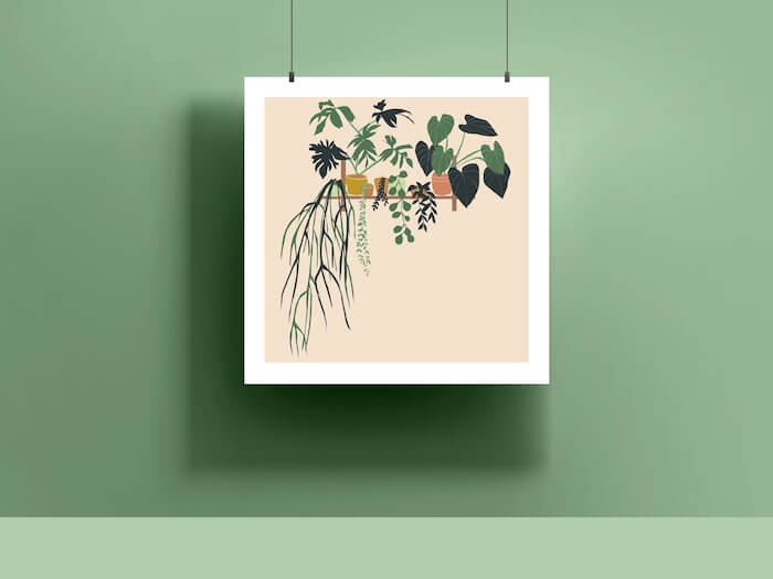 Prints Light 'Plant Shelf' Digital Print (Various Designs) homeware shops bristol gift shops bristol Sophie Colette