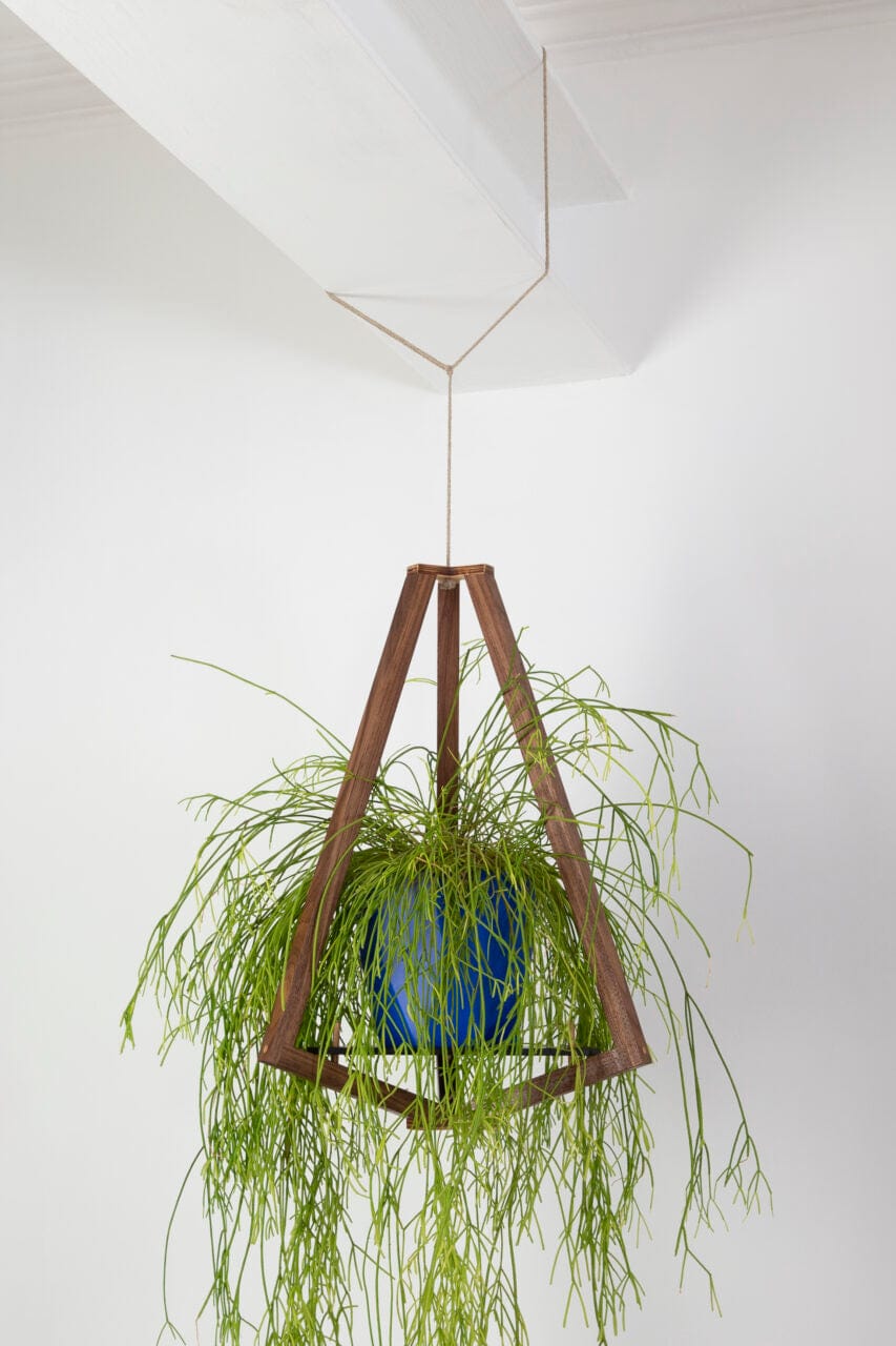Tammy Crawford-Rolt Plant Hanger The Plant Platform (various woods available)