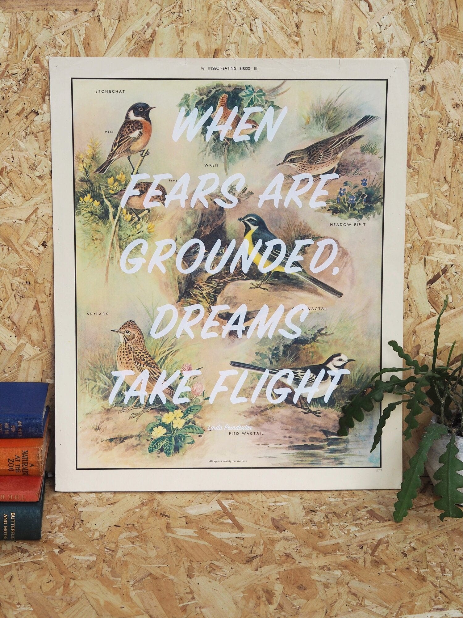 Basil & Ford Artwork Fears Are Grounded - Print