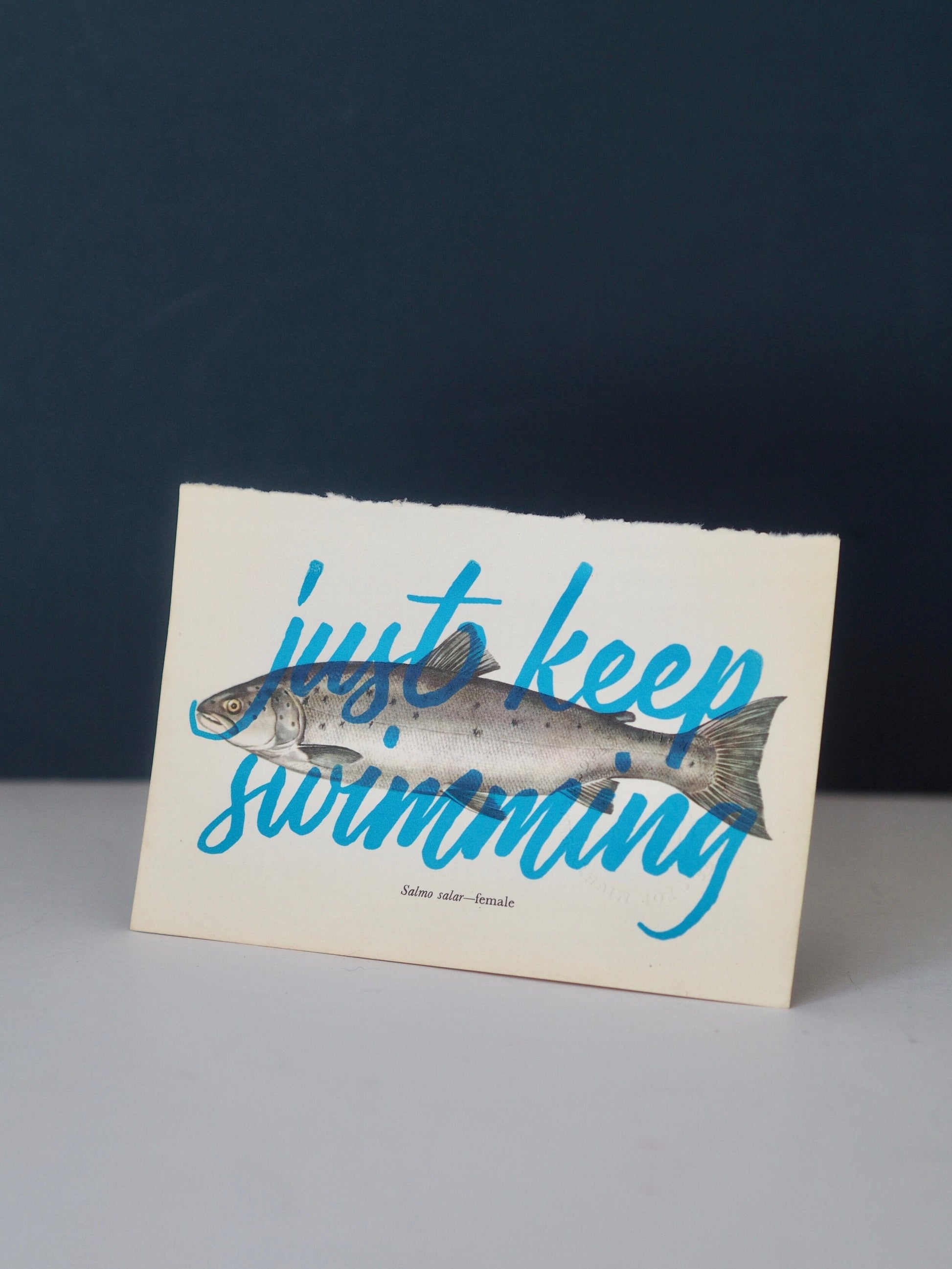 Basil & Ford Artwork Just Keep Swimming - Print