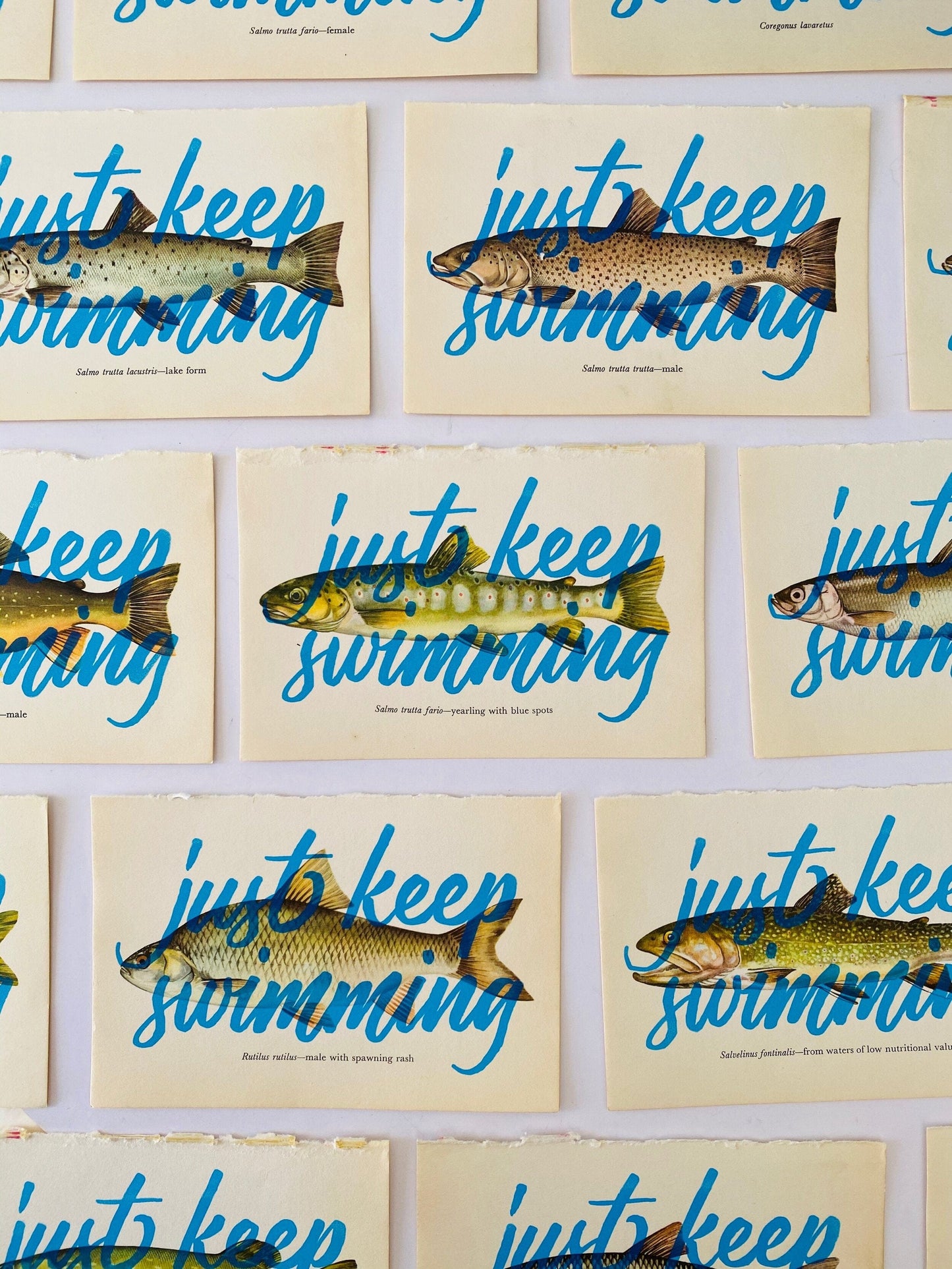 Basil & Ford Artwork Just Keep Swimming - Print