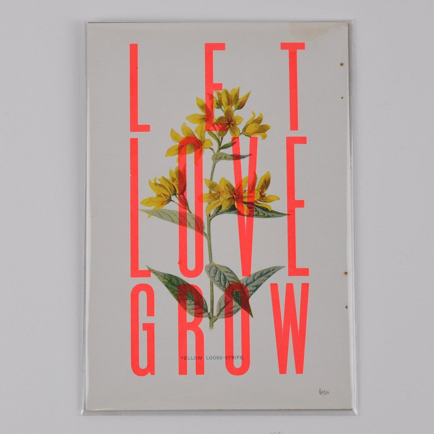 Basil & Ford Artwork Let Love Grow - Small Print