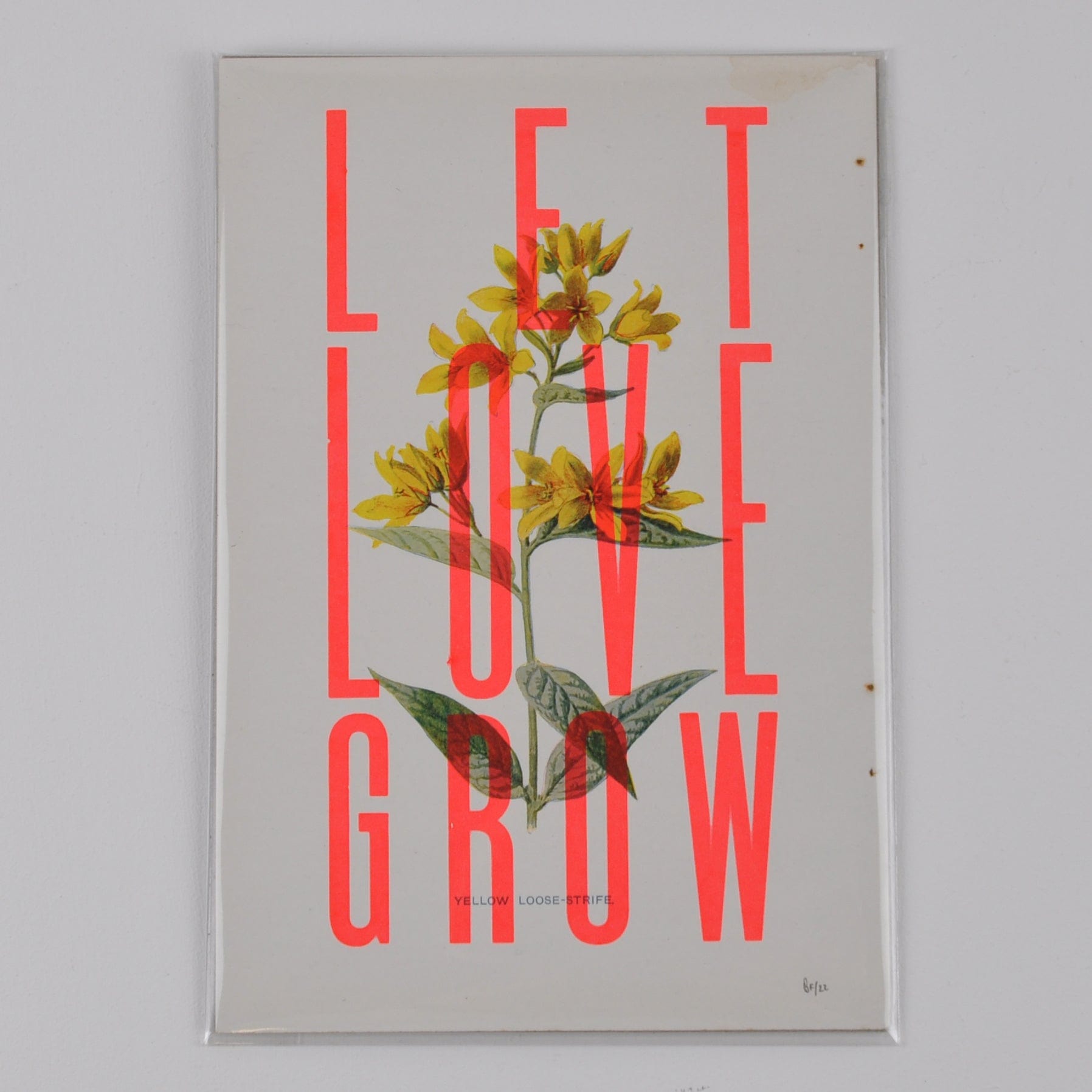 Basil & Ford Artwork Let Love Grow - Small Print