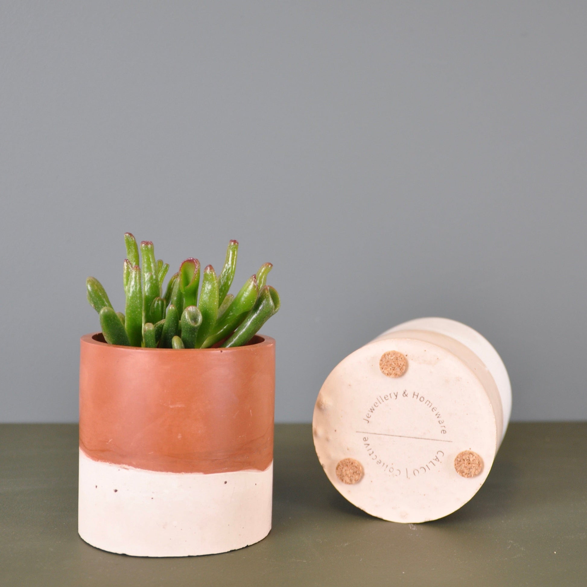 jesmonite plant pot Jesmonite Small Planter