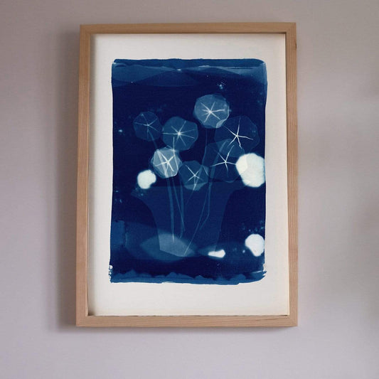 Claire Cartwright Studio Nasturtium Cyanotype Print