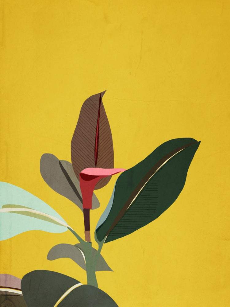 Do It Later Illustration Prints Yellow Rubber Plant Print (various sizes)