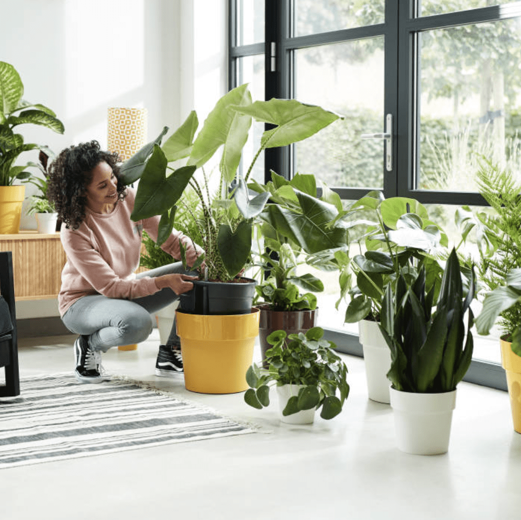 Plant Pots 22cm / White Recycled Plastic Plant Pot  -' b.for original' in White homeware shops bristol gift shops bristol Elho