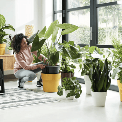 Plant Pots 22cm / White Recycled Plastic Plant Pot  -' b.for original' in White homeware shops bristol gift shops bristol Elho