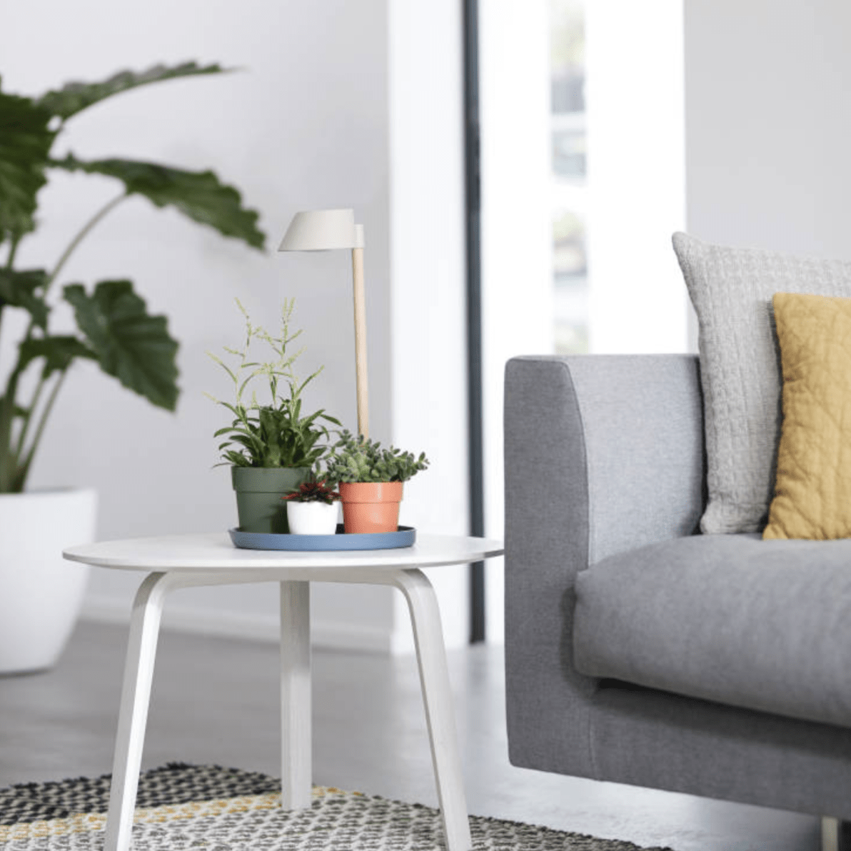 Plant Pots 22cm / White Recycled Plastic Plant Pot  -' b.for original' in White homeware shops bristol gift shops bristol Elho