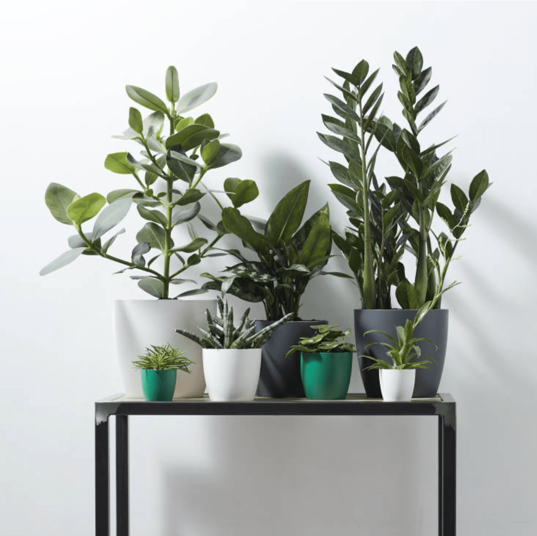 Plant Pots Recycled Plastic Plant Pot - 'brussels mini round' in Gold homeware shops bristol gift shops bristol Elho