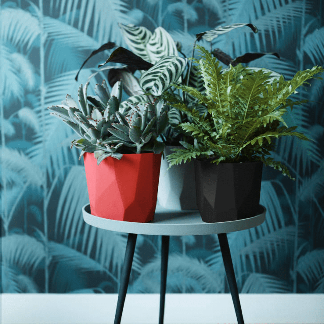 Elho Plant Pots Recycled Plastic Plant Pot -  'b.for rock' in Grey