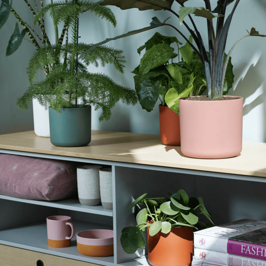 Elho Plant Pots Recycled Plastic Plant Pot -  'b.for soft round' in Brique