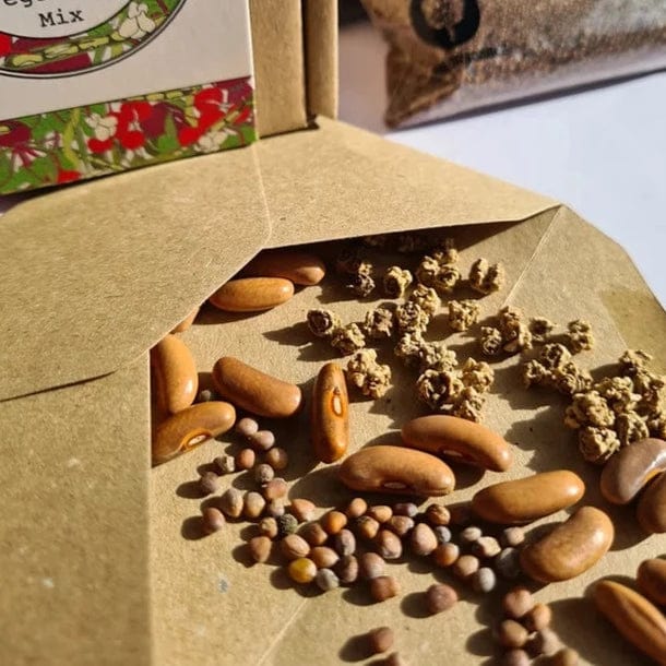 Making Kits Veggie Bomb Kit homeware shops bristol gift shops bristol Nature Nurture Kids