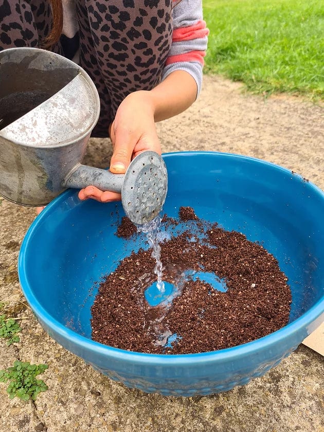 Nature Nurture Kids Veggie Bomb Kit
