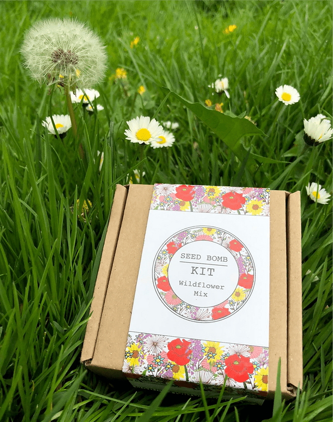 Making Kits Wildflower Seed Bomb Kit homeware shops bristol gift shops bristol Nature Nurture Kids