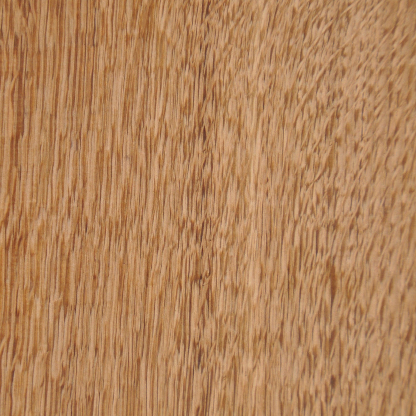 PRIOR SHOP English Oak Chopping Board