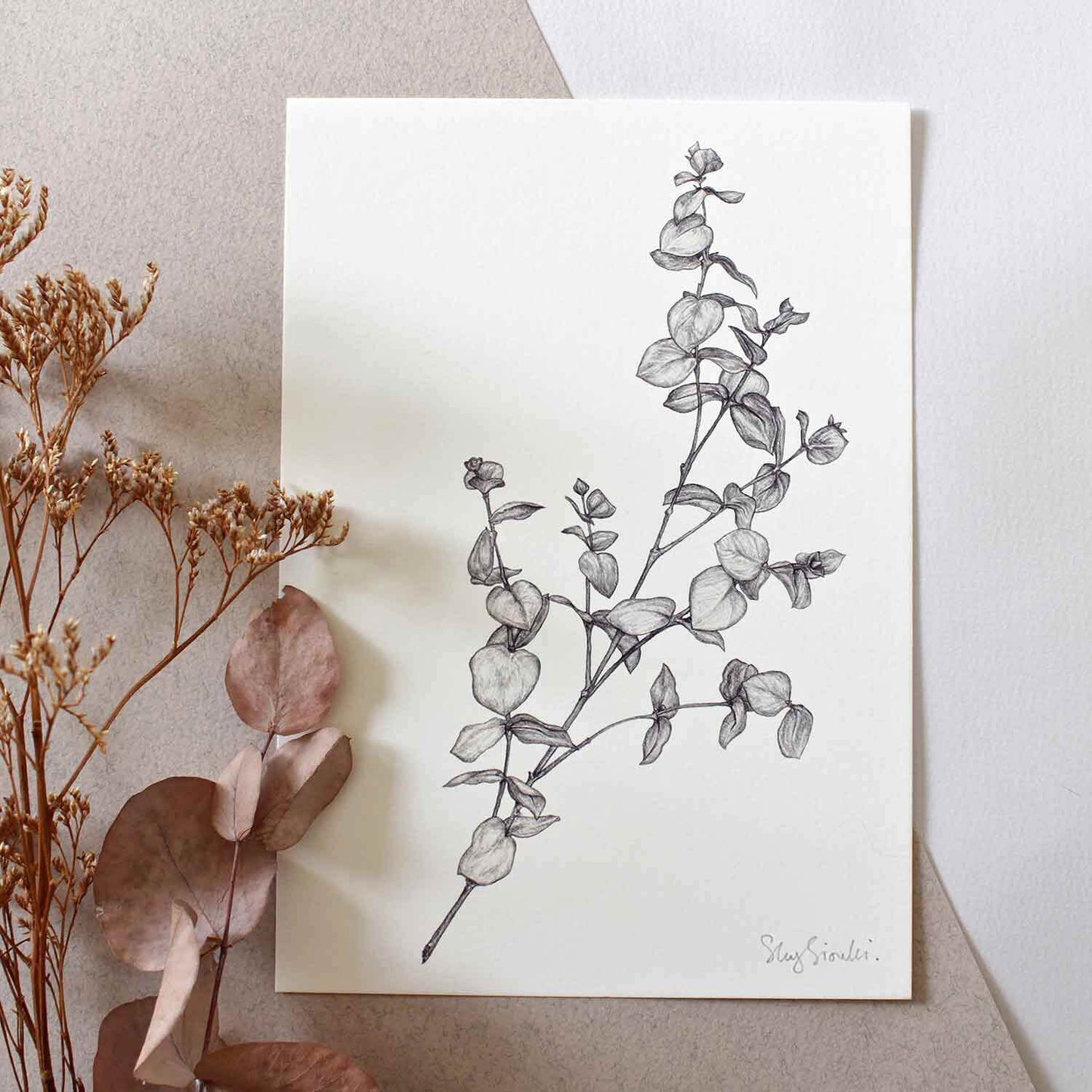 Sky Siouki Giclée Print 'Eucalyptus'