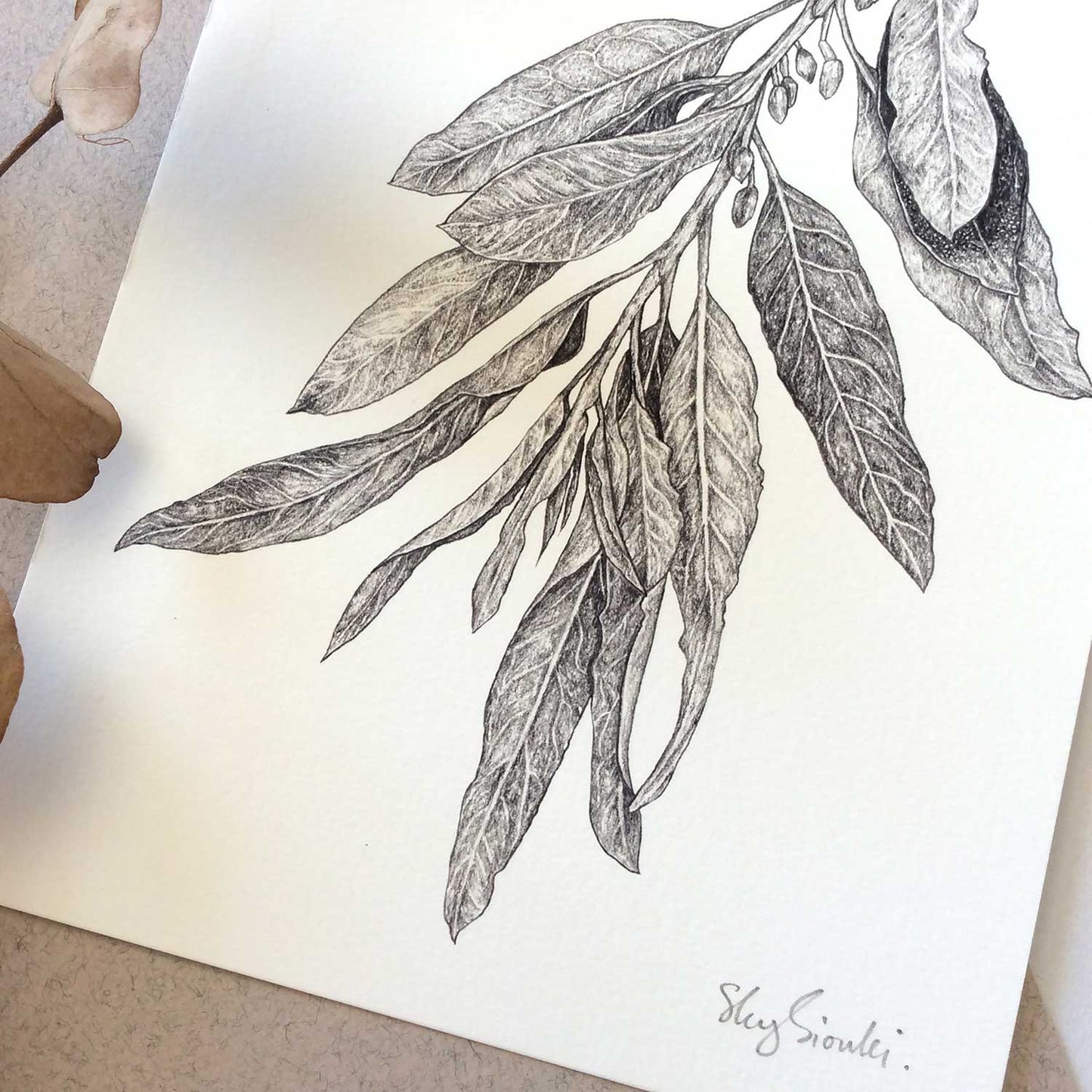 Sky Siouki Giclée Print 'Wild Olive'