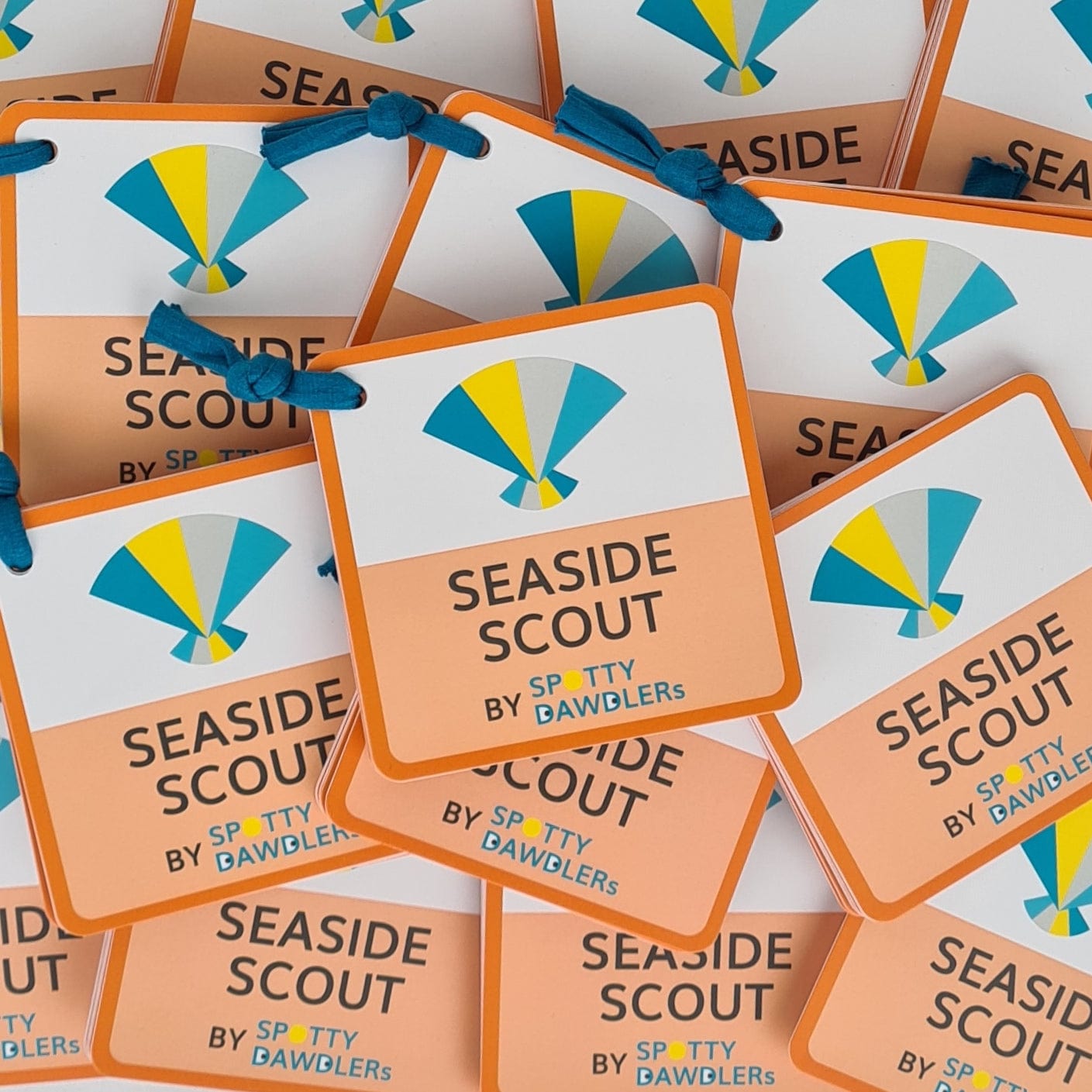 Spotty Dawdlers Book Seaside Scout