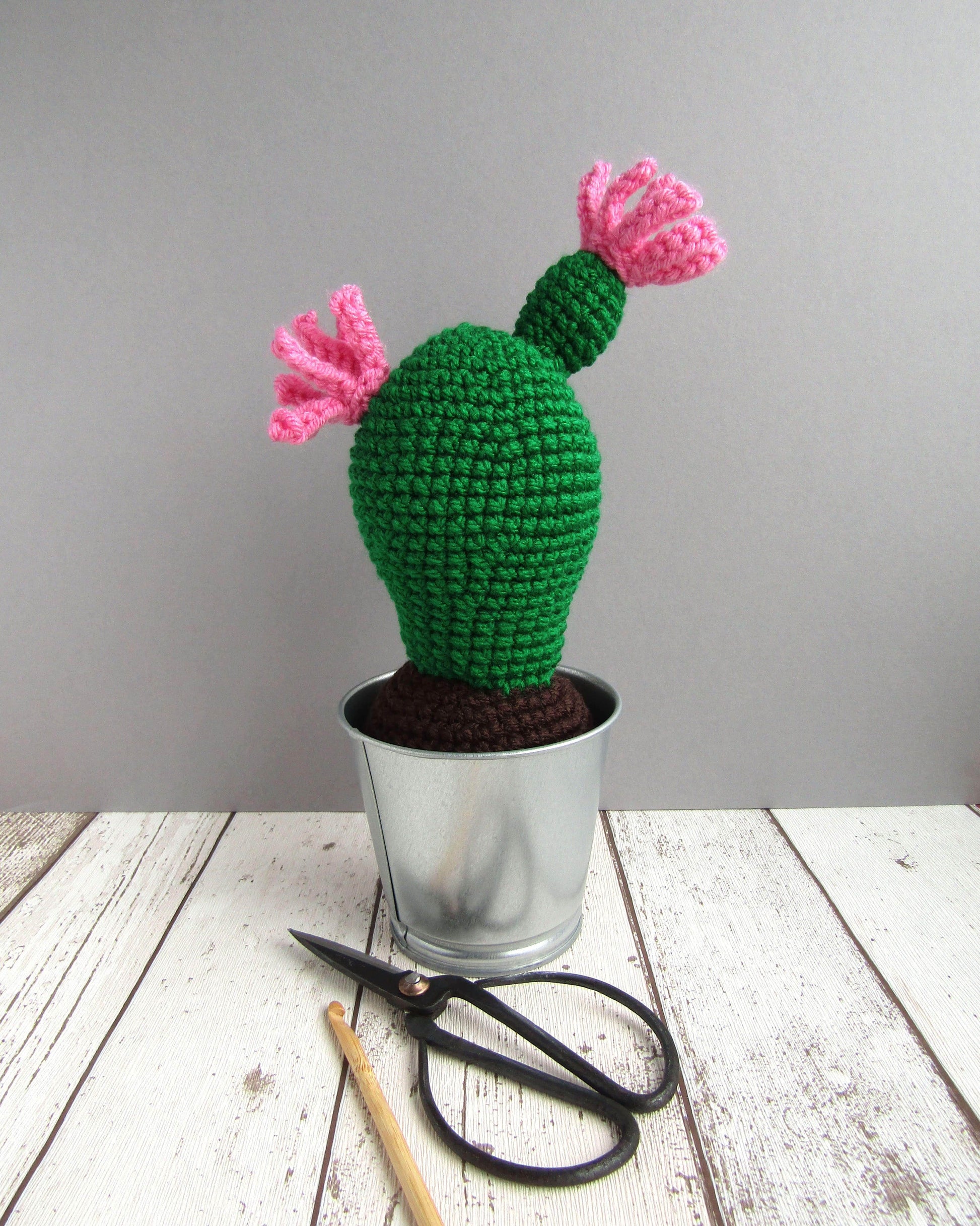 succulent crochet kit Crochet Kit: Cactus with Metal Pot – PRIOR SHOP