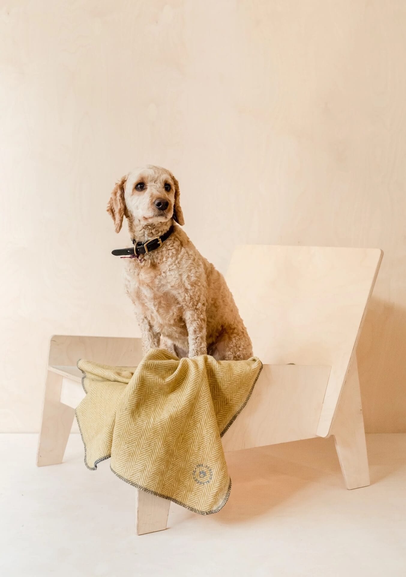 The Tartan Blanket Co Blankets Pet Blanket  - Recycled Wool 'Mustard Herringbone'